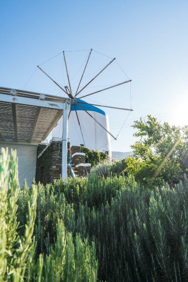 Windmill Arades Suite อพอลโลเนีย ภายนอก รูปภาพ